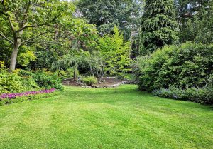 Optimiser l'expérience du jardin à Girmont-Val-d'Ajol